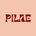 Pilae  – Accueil